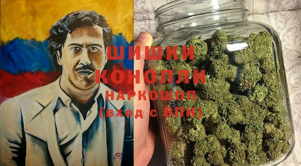 ГАЛЛЮЦИНОГЕННЫЕ ГРИБЫ Белоозёрский
