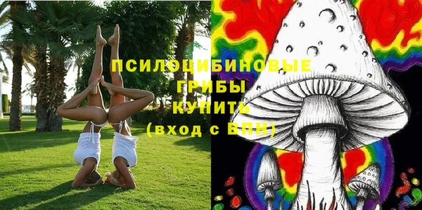 мет Белокуриха