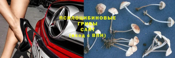 ГАЛЛЮЦИНОГЕННЫЕ ГРИБЫ Белоозёрский