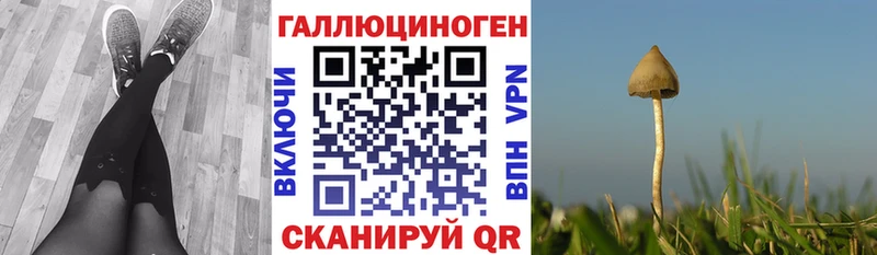 Псилоцибиновые грибы мицелий Няндома